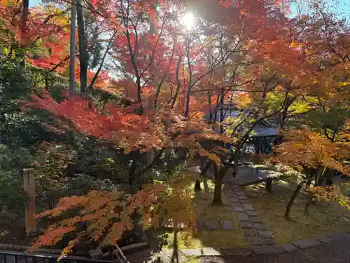 禅林寺（永観堂）(京都府)