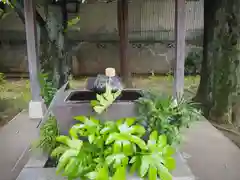 小右衛門稲荷神社の手水