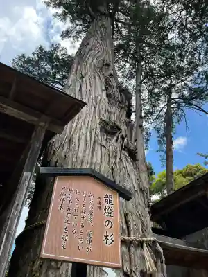 豊受大神社(京都府)