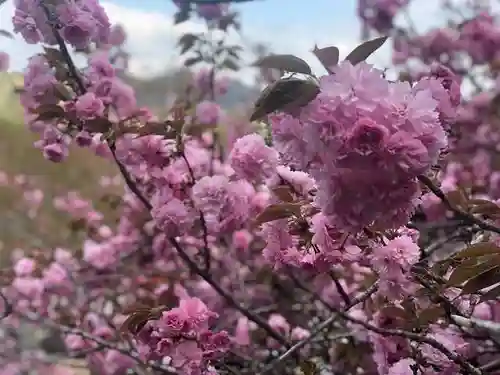 木舟山　順教寺の自然