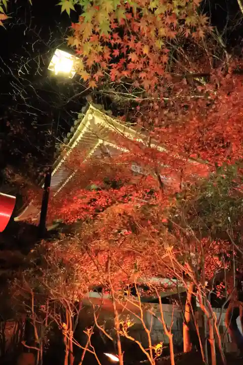 尊永寺(静岡県)