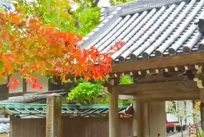 円覚寺(神奈川県)