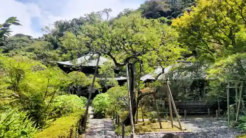 瑞泉寺(神奈川県)