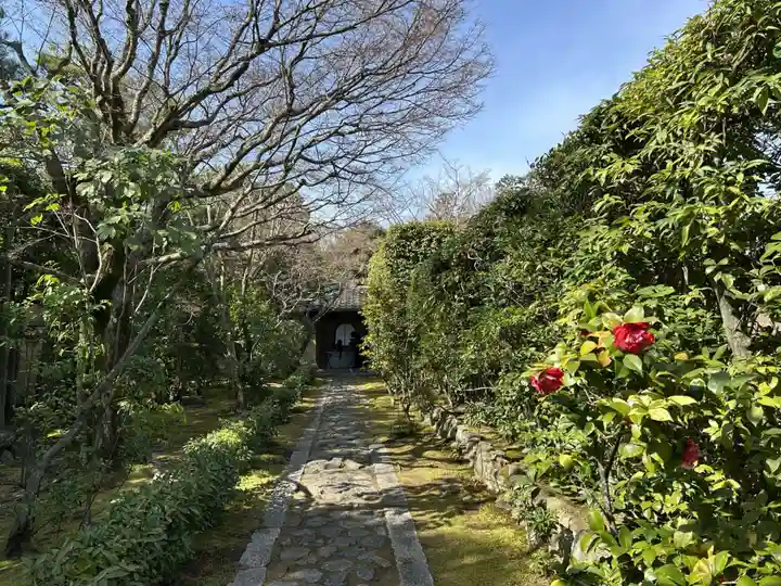 大光院(京都府)