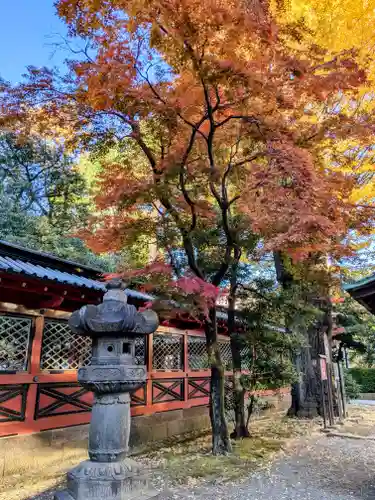 根津神社(東京都)