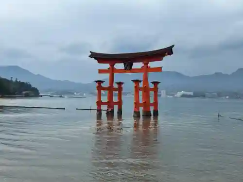厳島神社の{uncategorized: "未分類", other: "その他", undefined: "問題あり", building: "その他建物", grave: "お墓", sacred_gate: "鳥居", guardian: "狛犬", statue: "像", buddha: "仏像", history: "歴史", nature: "自然", garden: "庭園", animal: "動物", pagoda: "塔", temizu: "手水舎", mountain_gate: "山門・神門", sanctuary: "本殿・本堂", subordinate: "末社・摂社", art: "芸術", scenery: "景色", jizo: "地蔵", ema: "絵馬", goshuin: "御朱印", omikuji: "おみくじ", items: "授与品その他", amulet: "お守り", goshuincho: "御朱印帳", eats: "食事", festival: "お祭り", votive_dance: "神楽", shichigosan: "七五三参", wedding: "結婚式", experience: "体験その他", initially: "初詣", around: "周辺", anti_infection: "感染症対策"}