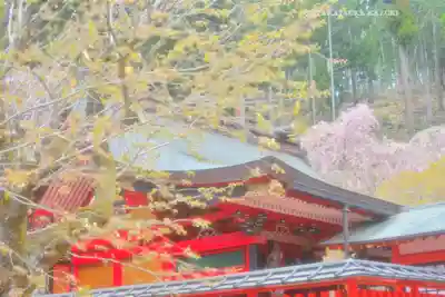 金櫻神社(山梨県)