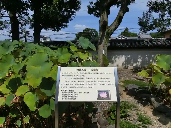 大谷本廟のその他建物