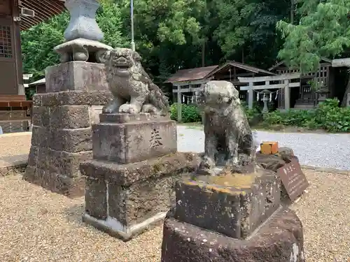 鷲宮神社の狛犬