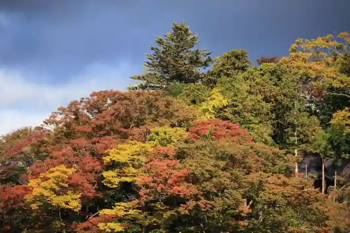 阿久津「田村神社」(郡山市阿久津町)旧社名:伊豆箱根三嶋三社(福島県)
