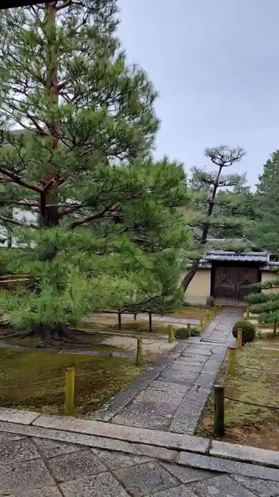 大徳寺(京都府)