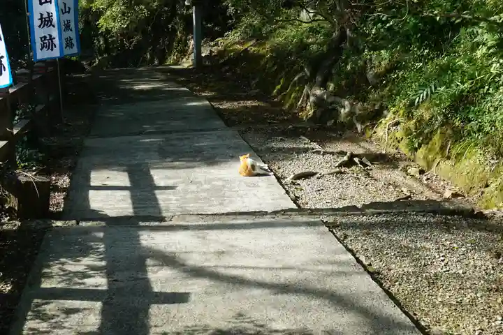唐澤山神社のその他建物