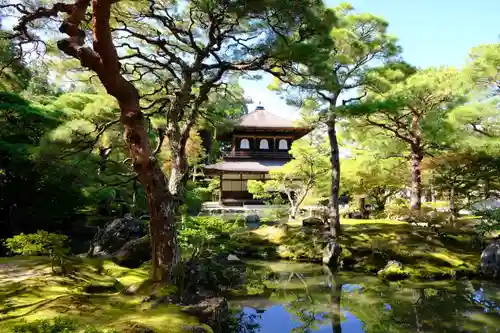 慈照寺（慈照禅寺・銀閣寺）の庭園