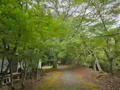 金剛院(京都府)