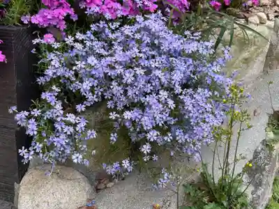 平林寺(兵庫県)