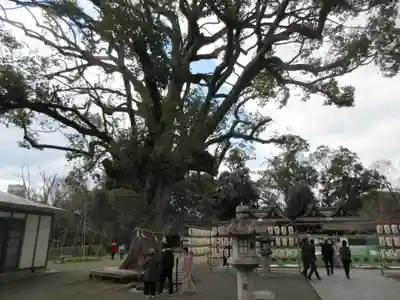 平野神社のその他建物