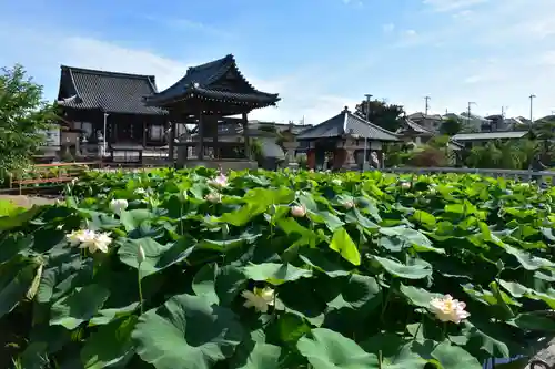 家原寺の自然