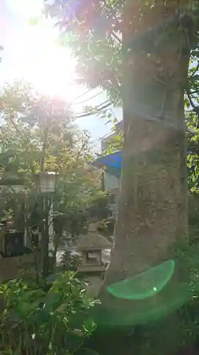 皆中稲荷神社の自然