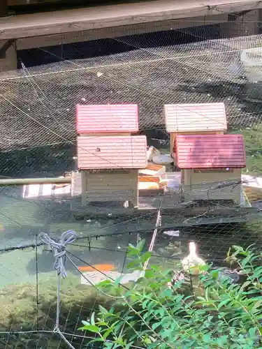 玉簾神社(神奈川県)