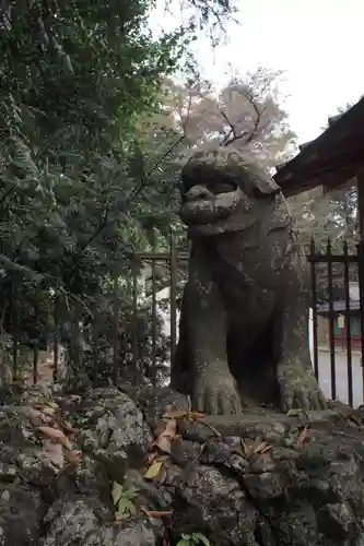 妻沼聖天山歓喜院の狛犬