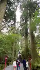 箱根神社の建物その他