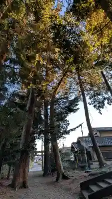 生子神社(栃木県)