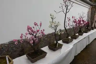 菅原天満宮（菅原神社）のその他建物