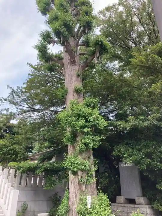 皇大神宮(烏森神社)(神奈川県)