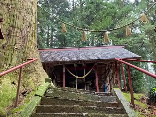 箒根神社高清水遥拝殿の本殿・本堂
