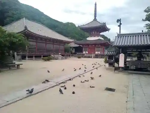 浄土寺の塔