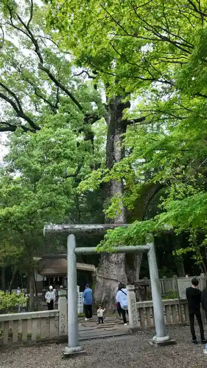 伊弉諾神宮の{uncategorized: "未分類", other: "その他", undefined: "問題あり", building: "その他建物", grave: "お墓", sacred_gate: "鳥居", guardian: "狛犬", statue: "像", buddha: "仏像", history: "歴史", nature: "自然", garden: "庭園", animal: "動物", pagoda: "塔", temizu: "手水舎", mountain_gate: "山門・神門", sanctuary: "本殿・本堂", subordinate: "末社・摂社", art: "芸術", scenery: "景色", jizo: "地蔵", ema: "絵馬", goshuin: "御朱印", omikuji: "おみくじ", items: "授与品その他", amulet: "お守り", goshuincho: "御朱印帳", eats: "食事", festival: "お祭り", votive_dance: "神楽", shichigosan: "七五三参", wedding: "結婚式", experience: "体験その他", initially: "初詣", around: "周辺", anti_infection: "感染症対策"}
