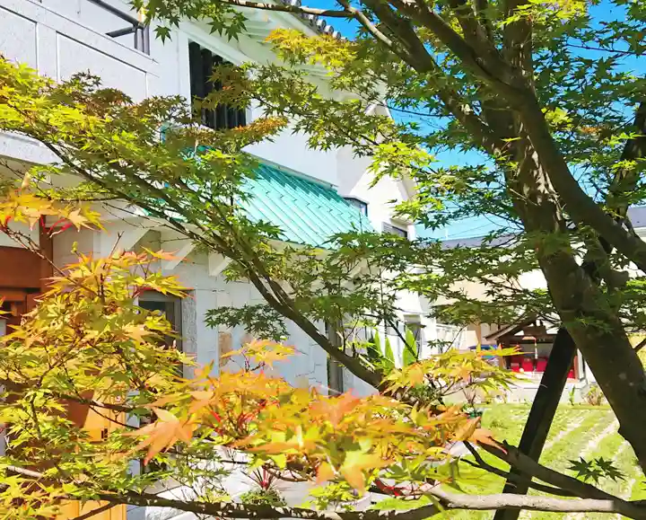 寿量山 速成寺の自然