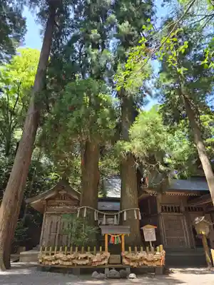 高千穂神社(宮崎県)