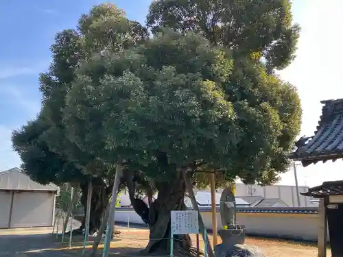 慈光寺(愛知県)