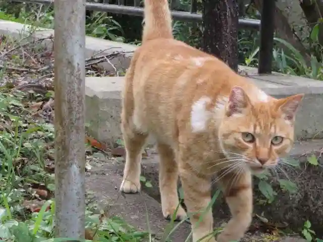 南禅寺(京都府)