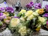 札幌諏訪神社の手水舎