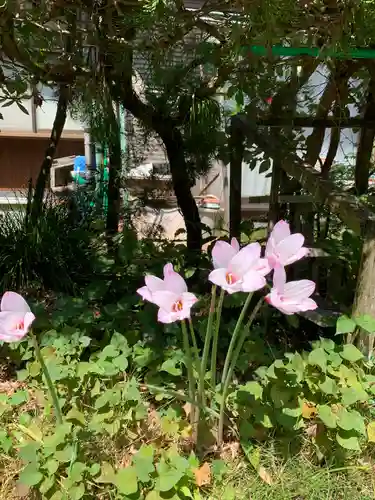 飛鳥寺(三重県)