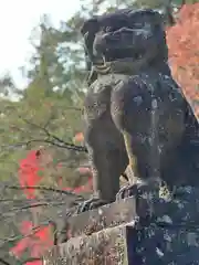 北口本宮冨士浅間神社の狛犬