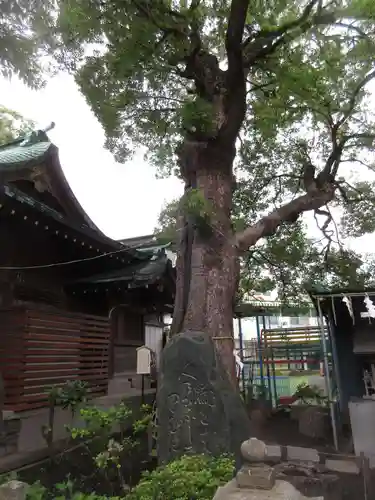 五方山熊野神社の自然
