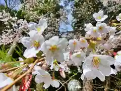 立志神社の自然