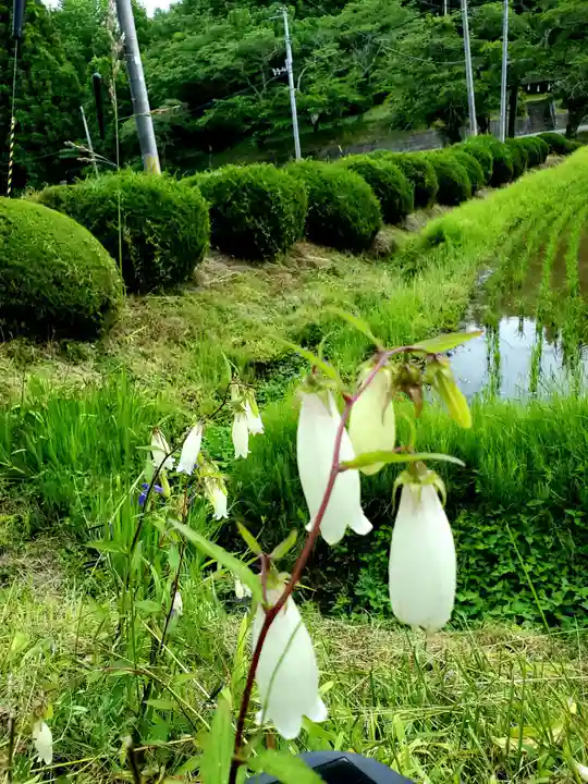 鹿島大神宮(福島県)