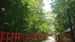 八坂神社(祇園さん)の景色