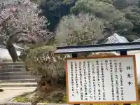 洞泉寺の{uncategorized: "未分類", other: "その他", undefined: "問題あり", building: "その他建物", grave: "お墓", sacred_gate: "鳥居", guardian: "狛犬", statue: "像", buddha: "仏像", history: "歴史", nature: "自然", garden: "庭園", animal: "動物", pagoda: "塔", temizu: "手水舎", mountain_gate: "山門・神門", sanctuary: "本殿・本堂", subordinate: "末社・摂社", art: "芸術", scenery: "景色", jizo: "地蔵", ema: "絵馬", goshuin: "御朱印", omikuji: "おみくじ", items: "授与品その他", amulet: "お守り", goshuincho: "御朱印帳", eats: "食事", festival: "お祭り", votive_dance: "神楽", shichigosan: "七五三参", wedding: "結婚式", experience: "体験その他", initially: "初詣", around: "周辺", anti_infection: "感染症対策"}