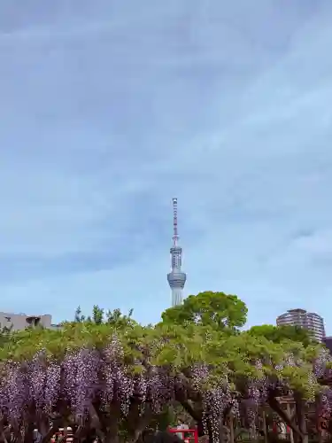 亀戸天神社の{uncategorized: "未分類", other: "その他", undefined: "問題あり", building: "その他建物", grave: "お墓", sacred_gate: "鳥居", guardian: "狛犬", statue: "像", buddha: "仏像", history: "歴史", nature: "自然", garden: "庭園", animal: "動物", pagoda: "塔", temizu: "手水舎", mountain_gate: "山門・神門", sanctuary: "本殿・本堂", subordinate: "末社・摂社", art: "芸術", scenery: "景色", jizo: "地蔵", ema: "絵馬", goshuin: "御朱印", omikuji: "おみくじ", items: "授与品その他", amulet: "お守り", goshuincho: "御朱印帳", eats: "食事", festival: "お祭り", votive_dance: "神楽", shichigosan: "七五三参", wedding: "結婚式", experience: "体験その他", initially: "初詣", around: "周辺", anti_infection: "感染症対策"}