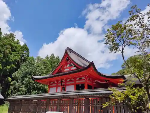 土佐神社の本殿