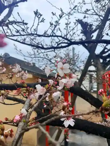 舞子六神社／まいこむの宮の{uncategorized: "未分類", other: "その他", undefined: "問題あり", building: "その他建物", grave: "お墓", sacred_gate: "鳥居", guardian: "狛犬", statue: "像", buddha: "仏像", history: "歴史", nature: "自然", garden: "庭園", animal: "動物", pagoda: "塔", temizu: "手水舎", mountain_gate: "山門・神門", sanctuary: "本殿・本堂", subordinate: "末社・摂社", art: "芸術", scenery: "景色", jizo: "地蔵", ema: "絵馬", goshuin: "御朱印", omikuji: "おみくじ", items: "授与品その他", amulet: "お守り", goshuincho: "御朱印帳", eats: "食事", festival: "お祭り", votive_dance: "神楽", shichigosan: "七五三参", wedding: "結婚式", experience: "体験その他", initially: "初詣", around: "周辺", anti_infection: "感染症対策"}
