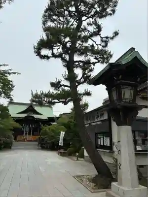 桜神宮(東京都)