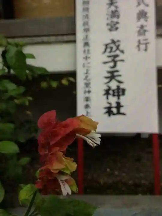 成子天神社(東京都)