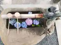 祥雲寺の手水舎