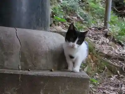 伏見稲荷大社(京都府)